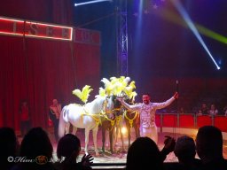 Circus Alex Kaisert am 1. Mai 2026